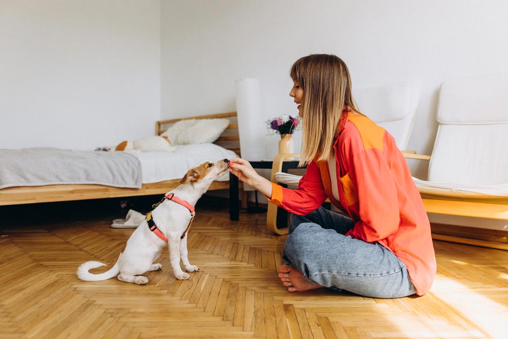 Young lady sitting on floor training her puppy