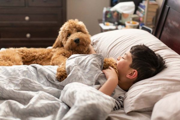 Young boy and his young mini goldendoodle puppy laying in bed